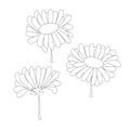 Deasy monochrome sketch. Outline flowers art design stock vector illustration for coloring book